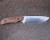 The Benchmade Bone Collector Hunting Knife